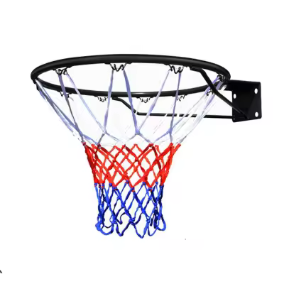 Basketball Hoop with Net
